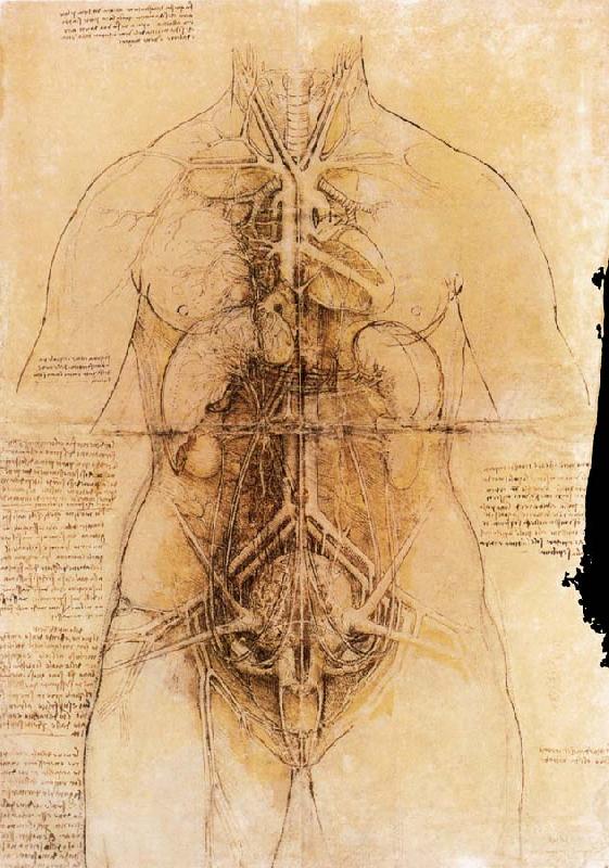 LEONARDO da Vinci The organs of the woman oil painting image